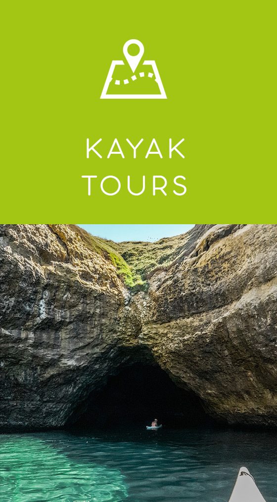 Kayak Tours